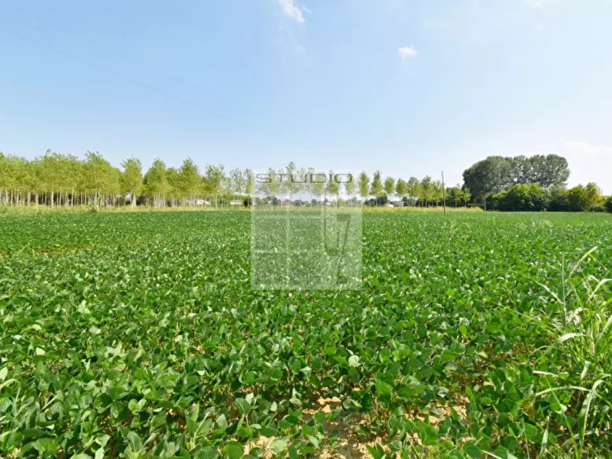 Immagine 14 di Casa trifamiliare in vendita  in via Russia a San Giorgio Delle Pertiche