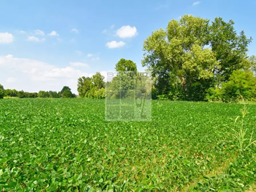 Immagine 16 di Casa trifamiliare in vendita  in via Russia a San Giorgio Delle Pertiche