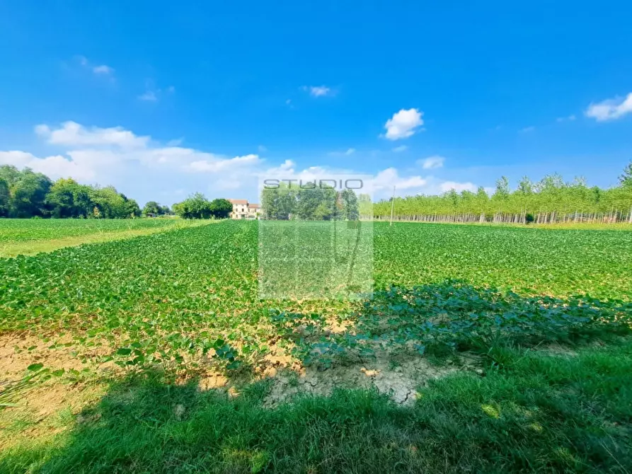 Immagine 18 di Casa trifamiliare in vendita  in via Russia a San Giorgio Delle Pertiche