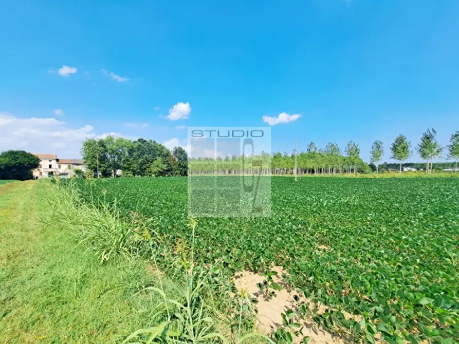 Immagine 19 di Casa trifamiliare in vendita  in via Russia a San Giorgio Delle Pertiche