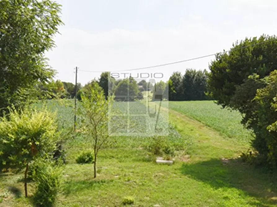 Immagine 21 di Casa trifamiliare in vendita  in via Russia a San Giorgio Delle Pertiche