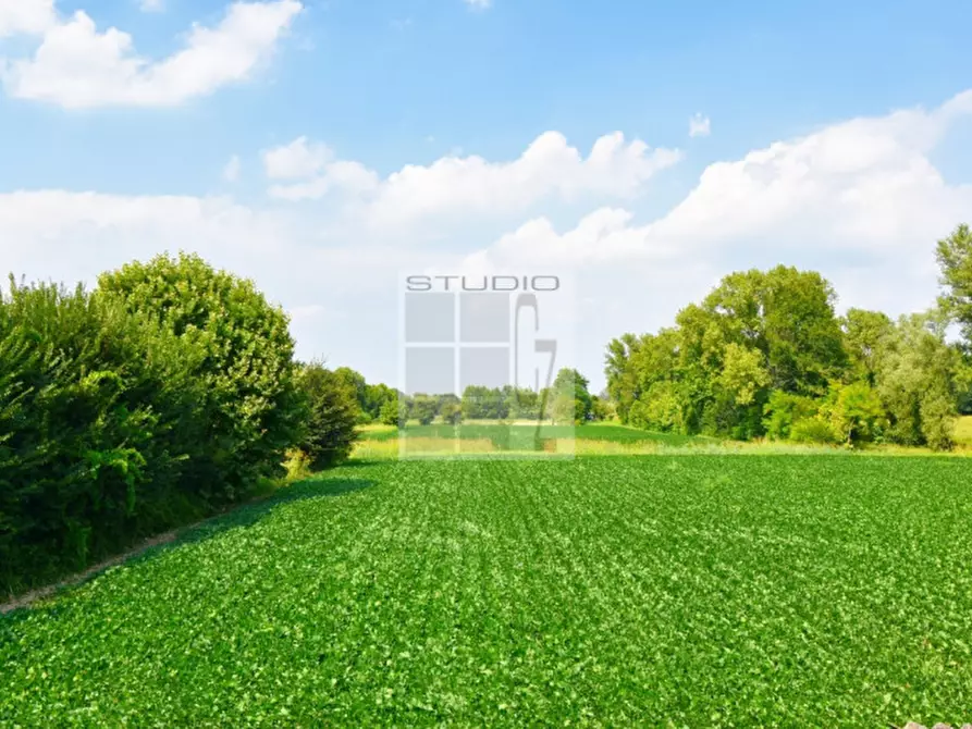 Immagine 22 di Casa trifamiliare in vendita  in via Russia a San Giorgio Delle Pertiche