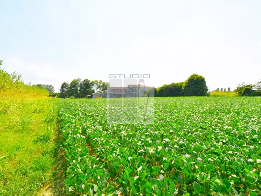 Immagine 23 di Casa trifamiliare in vendita  in via Russia a San Giorgio Delle Pertiche