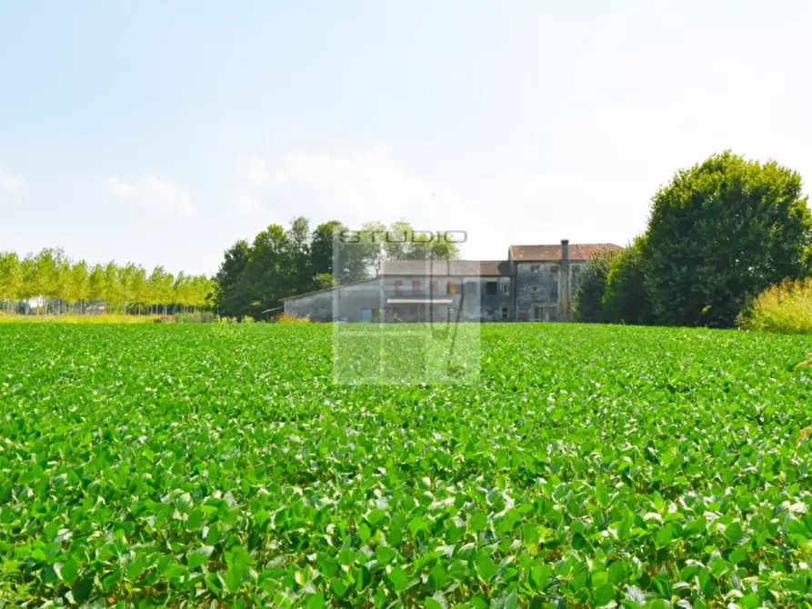 Immagine 24 di Casa trifamiliare in vendita  in via Russia a San Giorgio Delle Pertiche