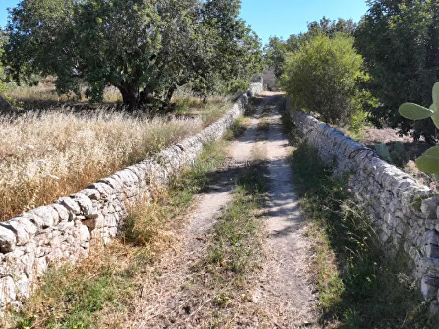 Immagine 7 di Casa indipendente in vendita  in C.DA MARGIONE a Modica