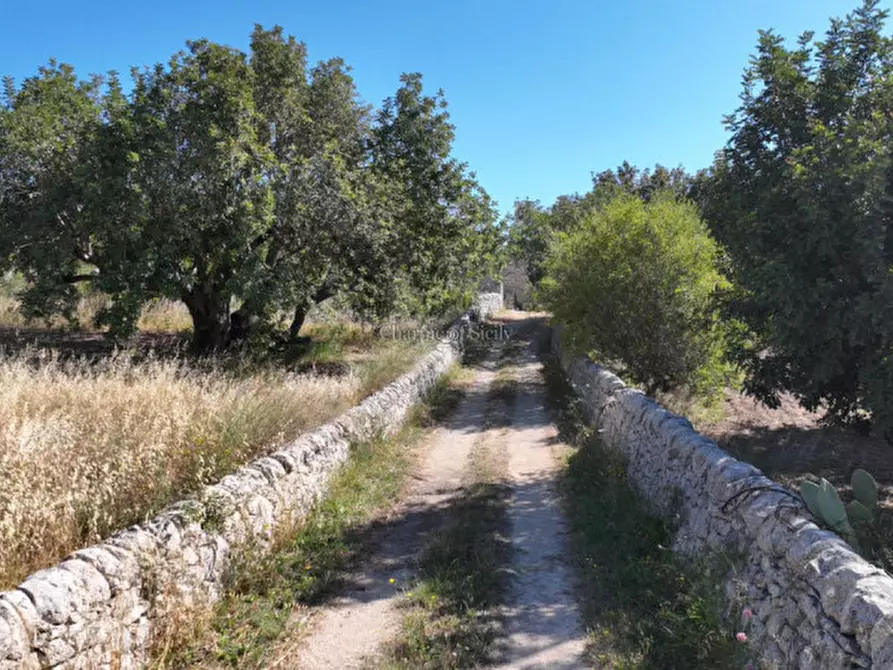 Immagine 8 di Casa indipendente in vendita  in C.DA MARGIONE a Modica
