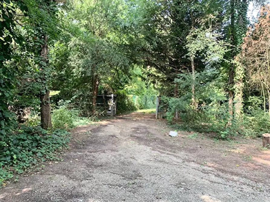 Immagine 2 di Casa bifamiliare in vendita  a Saccolongo