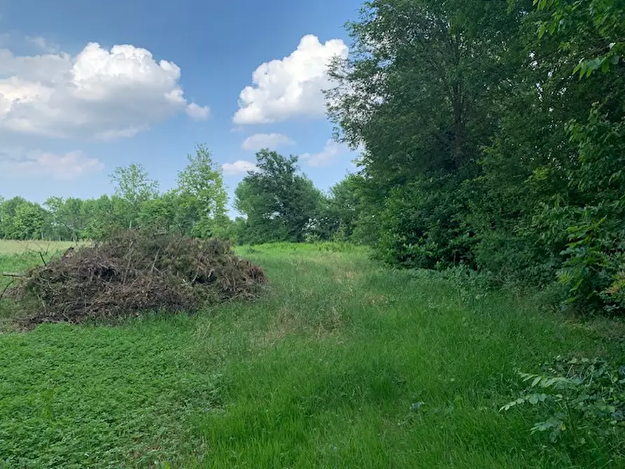 Immagine 5 di Casa bifamiliare in vendita  a Saccolongo