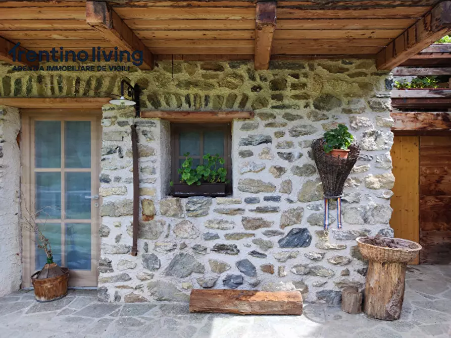 Immagine 3 di Rustico / casale in vendita  in Frazione San Bernardo a Rabbi