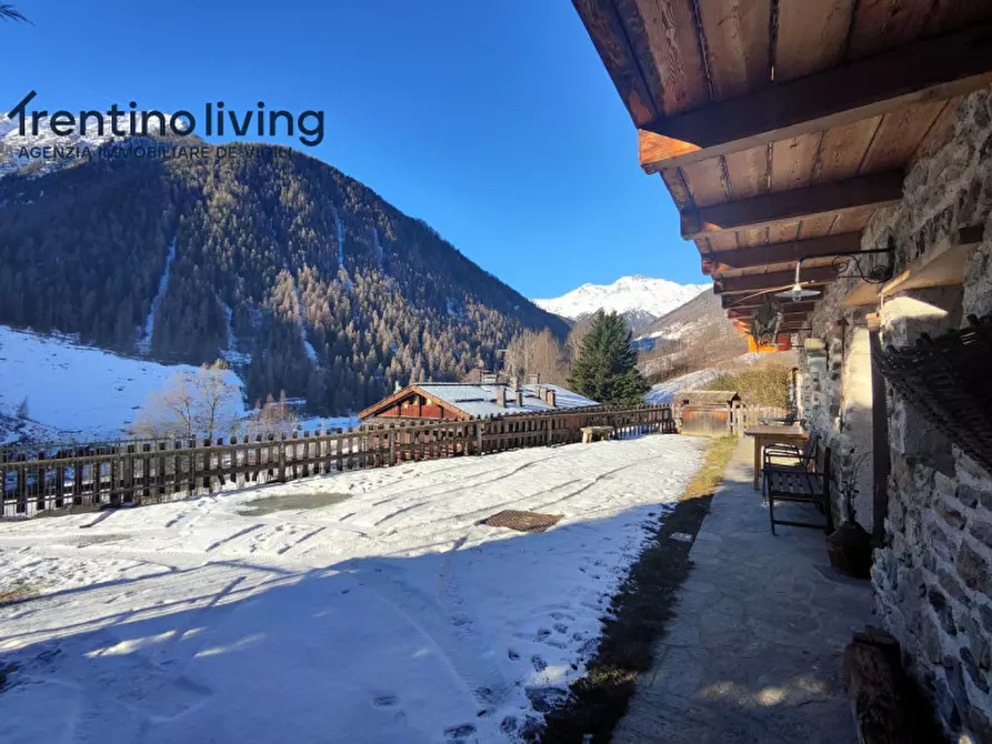 Immagine 12 di Rustico / casale in vendita  in Frazione San Bernardo a Rabbi