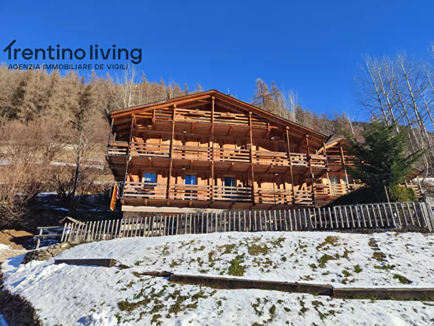 Immagine 35 di Rustico / casale in vendita  in Frazione San Bernardo a Rabbi