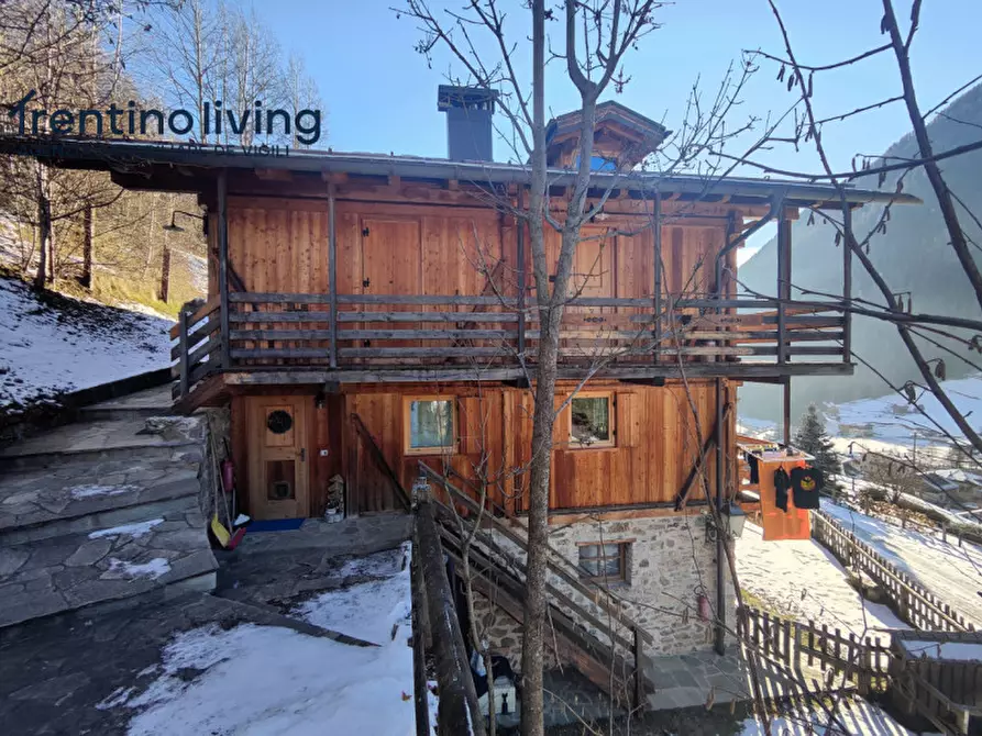 Immagine 37 di Rustico / casale in vendita  in Frazione San Bernardo a Rabbi