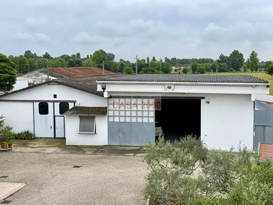 Immagine 7 di Agriturismo in vendita  a Villa Del Conte