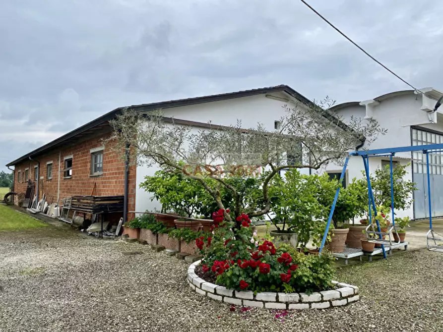 Immagine 56 di Agriturismo in vendita  a Villa Del Conte