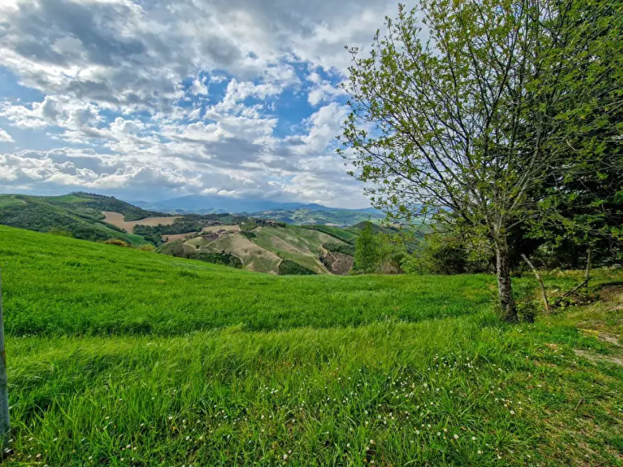 Immagine 19 di Appartamento in vendita  in San Donato in Taviglione a Sassocorvaro Auditore