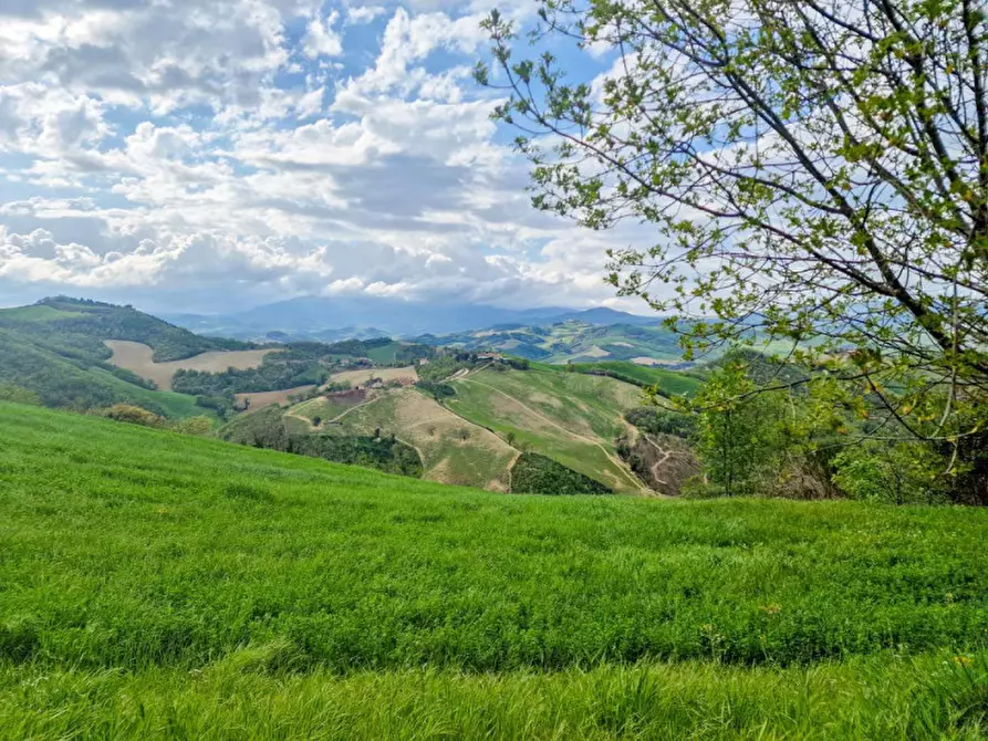 Immagine 20 di Appartamento in vendita  in San Donato in Taviglione a Sassocorvaro Auditore
