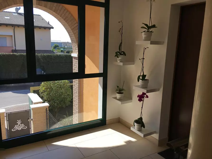 Immagine 12 di Appartamento in vendita  a Campolongo Maggiore