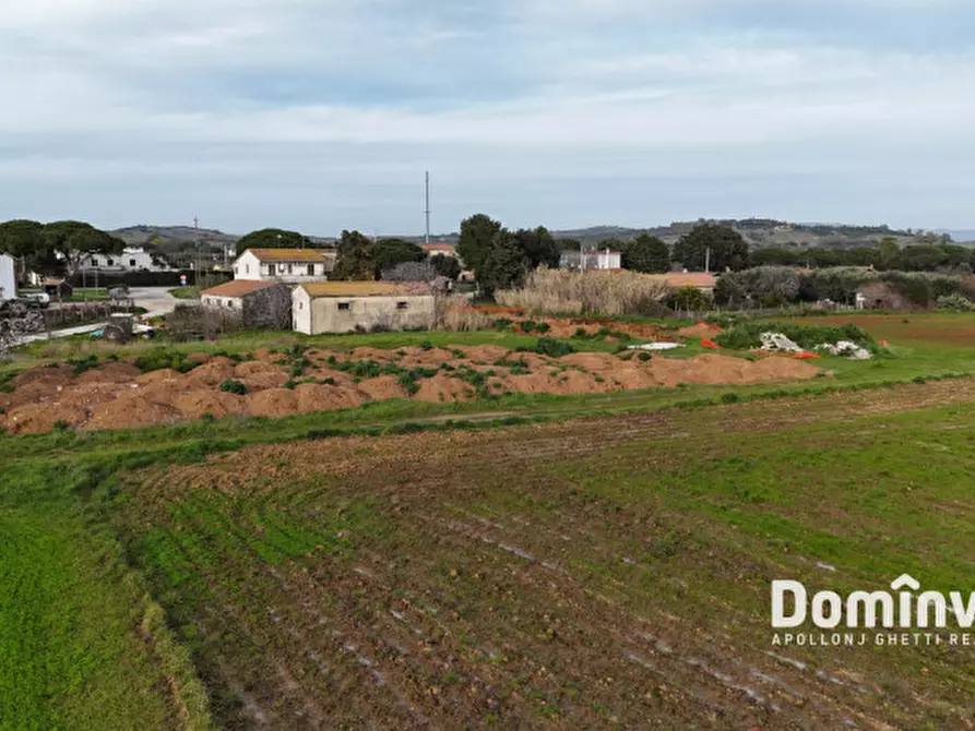 Immagine 3 di Rustico / casale in vendita  in Centro F a Capalbio