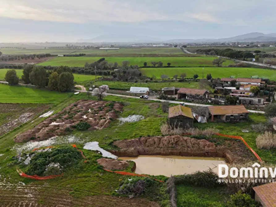 Immagine 4 di Rustico / casale in vendita  in Centro F a Capalbio