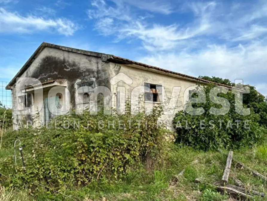 Immagine 5 di Rustico / casale in vendita  in Centro F a Capalbio