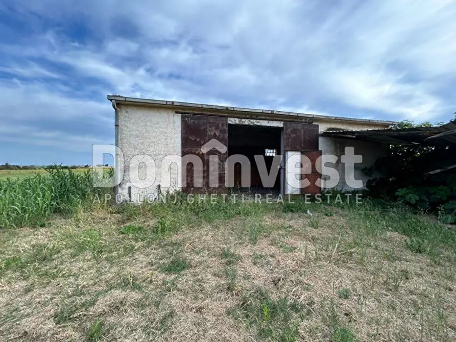 Immagine 7 di Rustico / casale in vendita  in Centro F a Capalbio