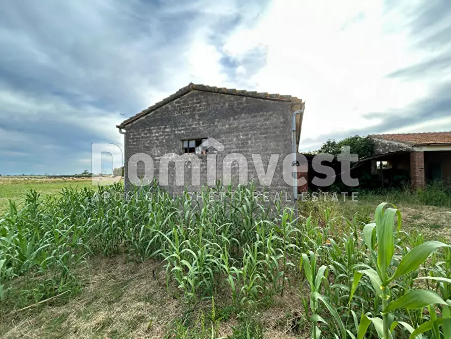 Immagine 8 di Rustico / casale in vendita  in Centro F a Capalbio