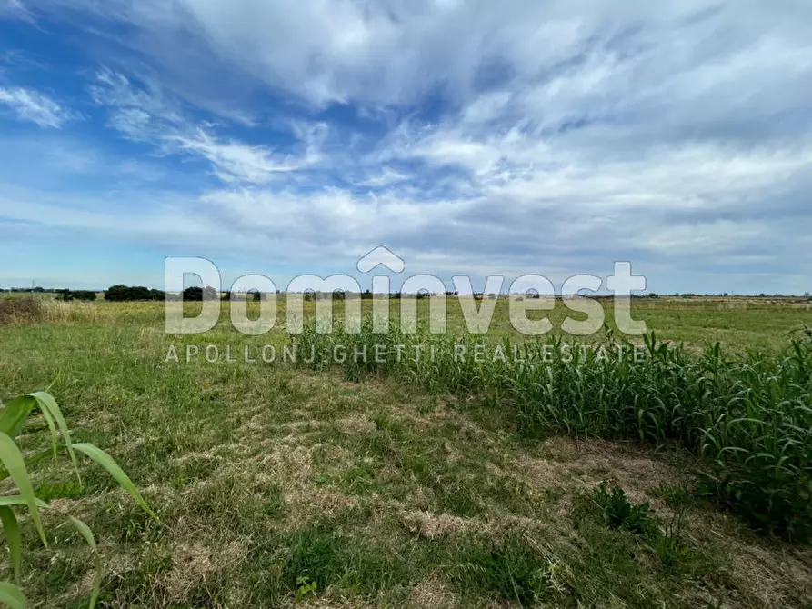 Immagine 10 di Rustico / casale in vendita  in Centro F a Capalbio