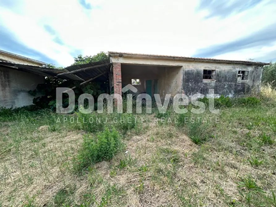 Immagine 12 di Rustico / casale in vendita  in Centro F a Capalbio