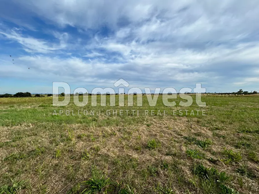 Immagine 14 di Rustico / casale in vendita  in Centro F a Capalbio