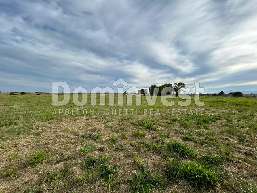 Immagine 15 di Rustico / casale in vendita  in Centro F a Capalbio