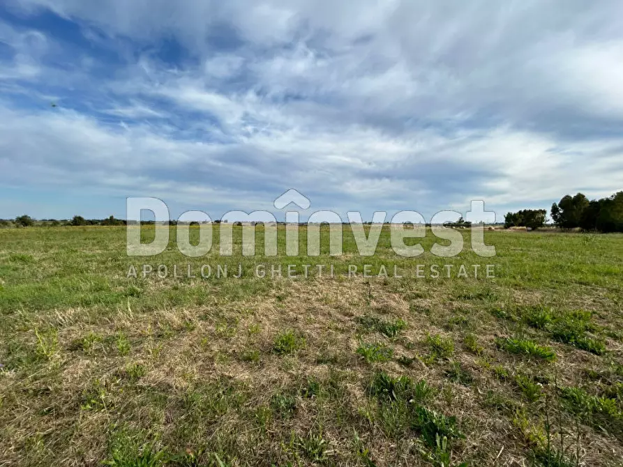 Immagine 16 di Rustico / casale in vendita  in Centro F a Capalbio