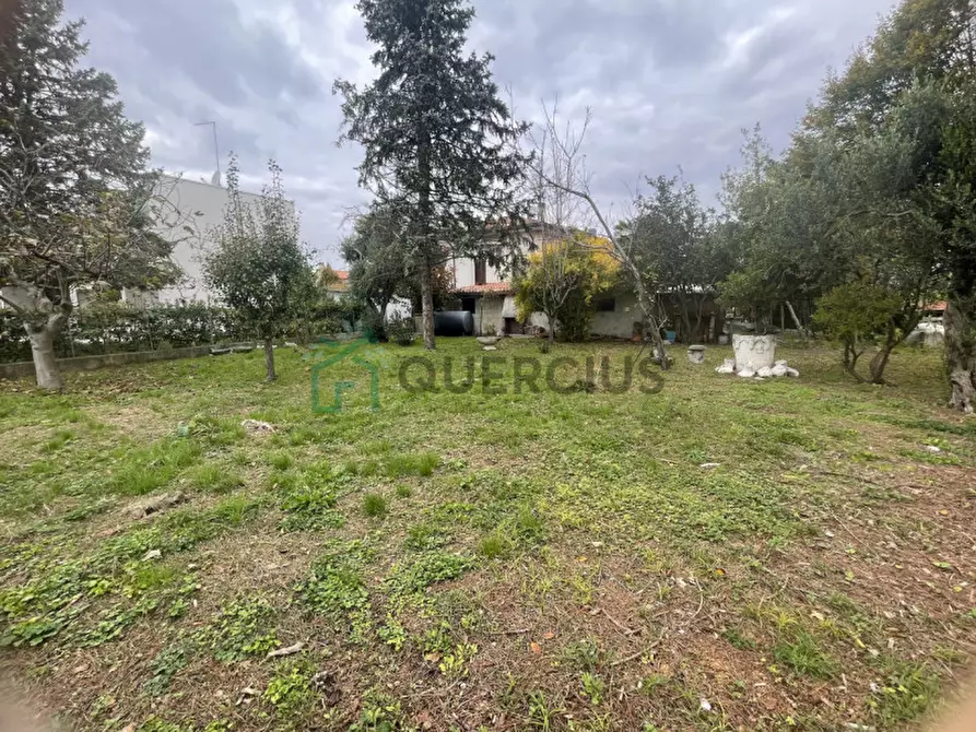 Immagine 30 di Appartamento in vendita  in Via Adua a Jesolo