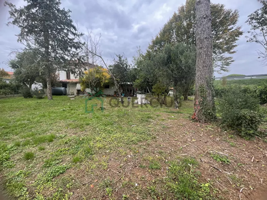 Immagine 31 di Appartamento in vendita  in Via Adua a Jesolo