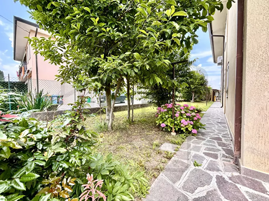 Immagine 3 di Casa bifamiliare in vendita  a Teolo