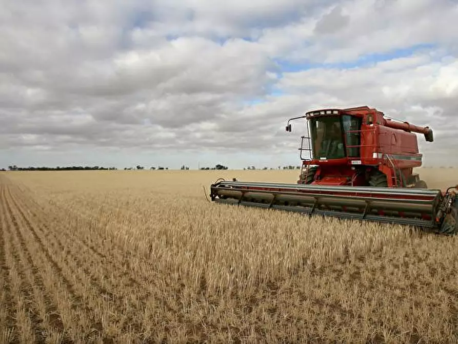 Immagine 2 di Terreno in vendita  in VIA CECCARELLO a Santa Giustina In Colle