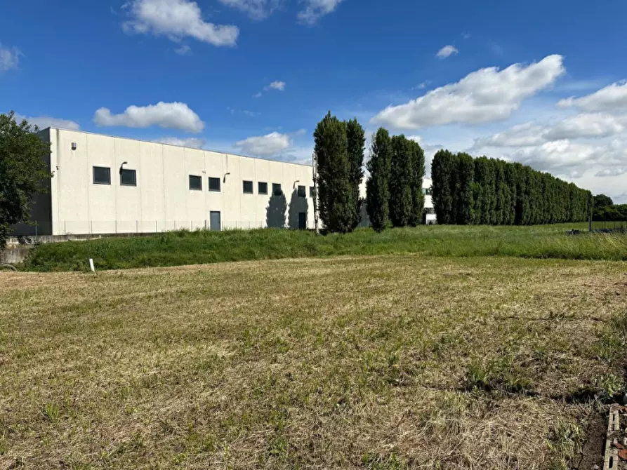 Immagine 5 di Terreno in vendita  in via isonzo a Mestrino