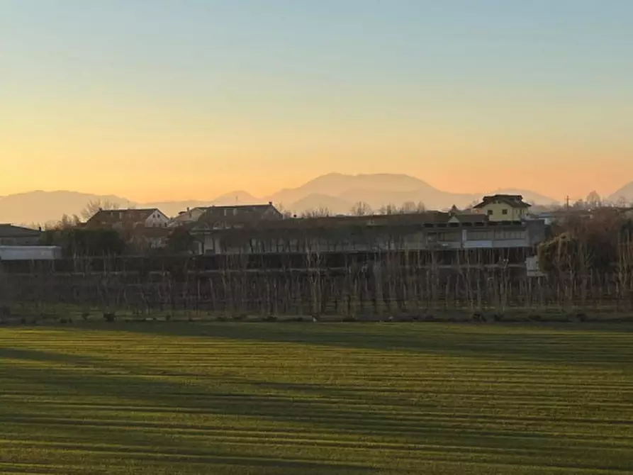 Immagine 1 di Appartamento in vendita  a Albignasego