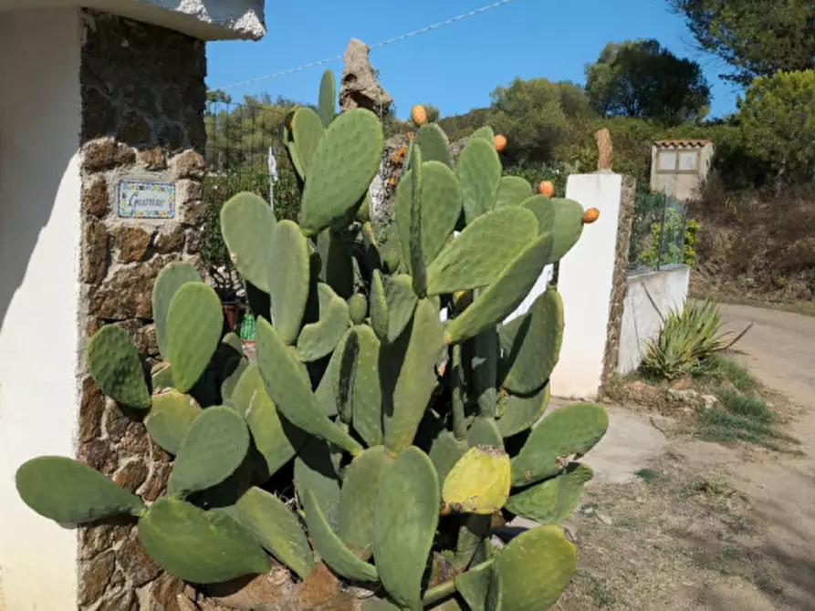 Immagine 6 di Casa bifamiliare in vendita  in Via delle Attinie a Olbia