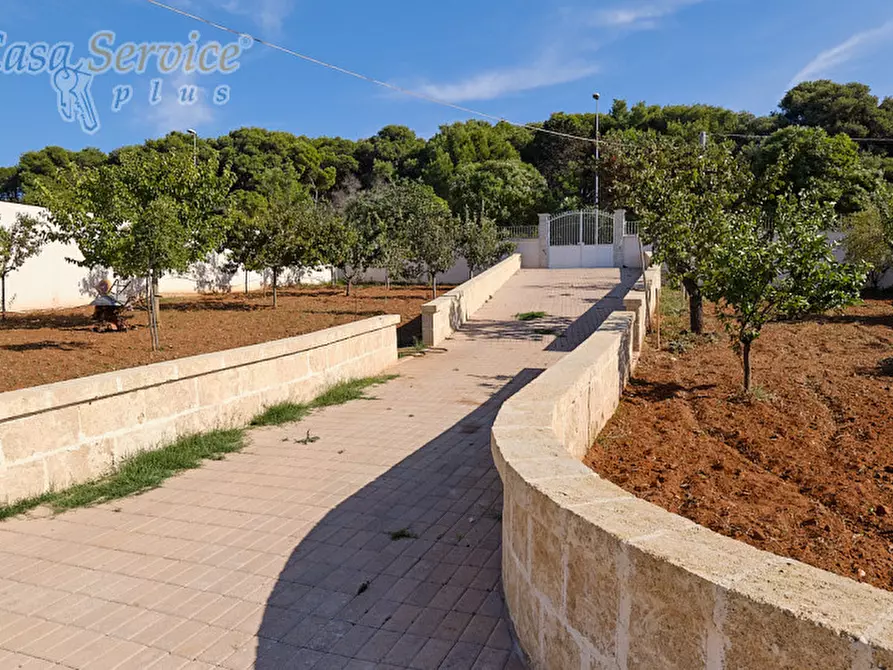 Immagine 6 di Villa in vendita  in Via Scalelle a Gallipoli