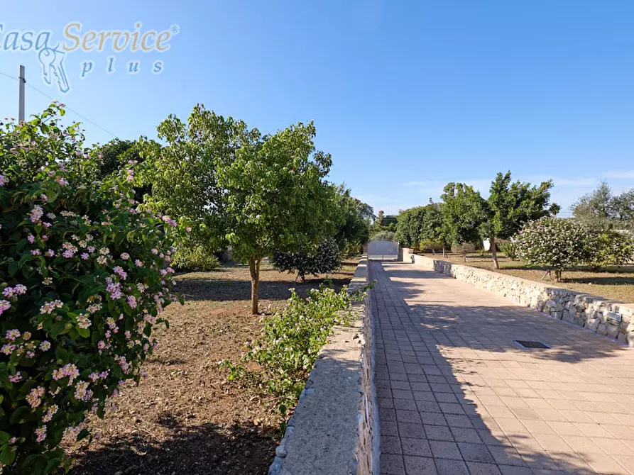 Immagine 31 di Villa in vendita  in Via Scalelle a Gallipoli