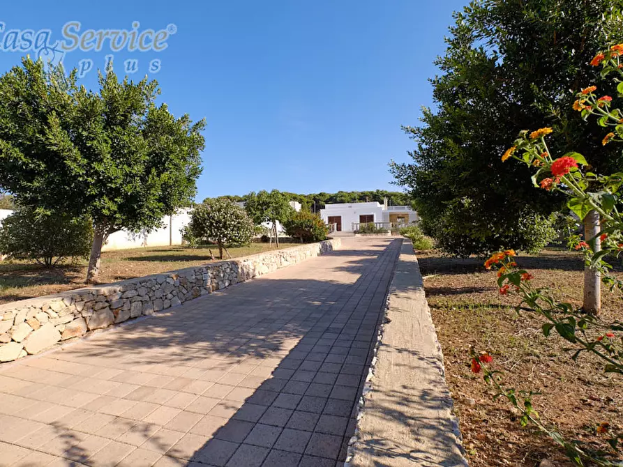 Immagine 38 di Villa in vendita  in Via Scalelle a Gallipoli