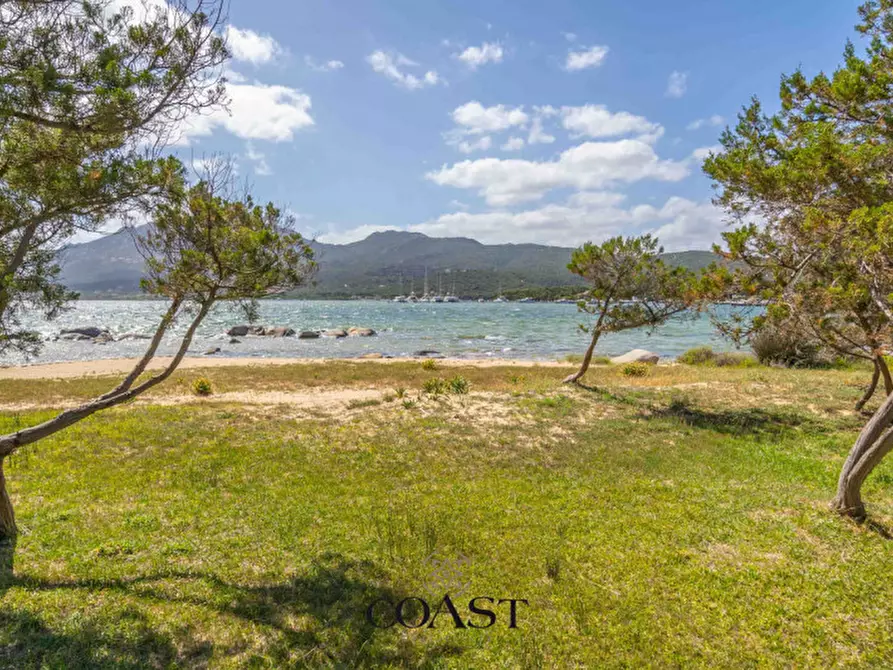 Immagine 42 di Appartamento in vendita  in Punta Asfodeli a Olbia