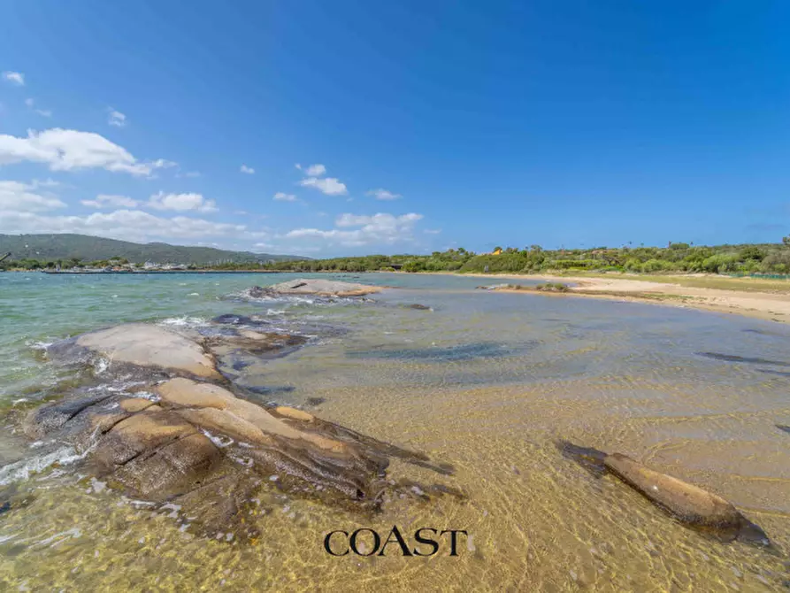 Immagine 44 di Appartamento in vendita  in Punta Asfodeli a Olbia
