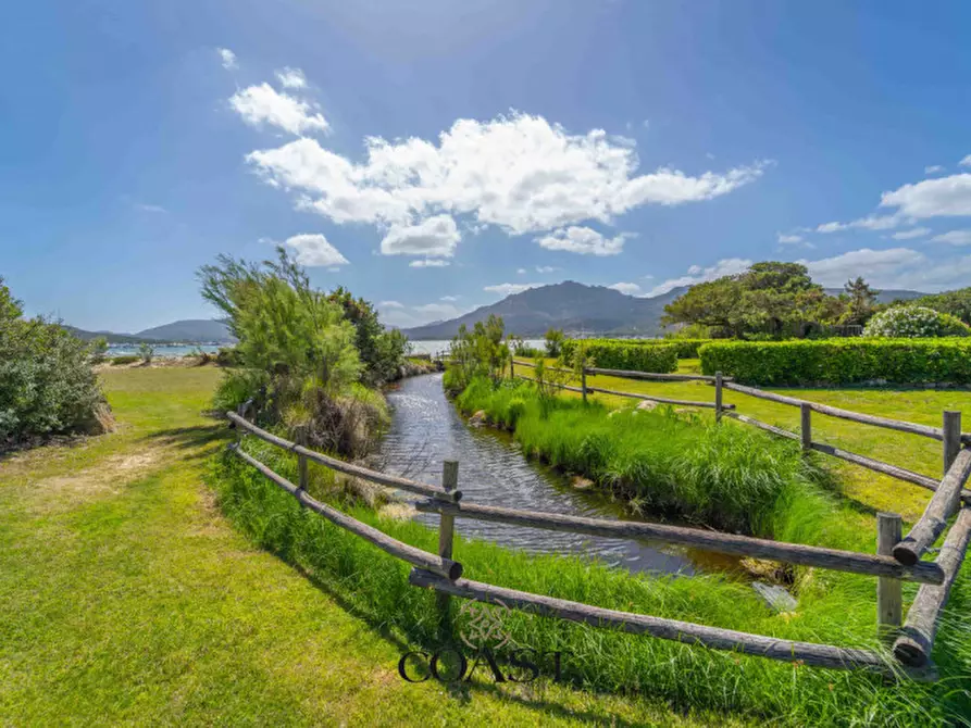 Immagine 52 di Appartamento in vendita  in Punta Asfodeli a Olbia