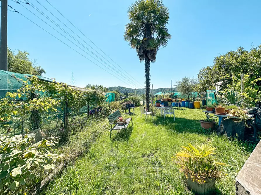 Immagine 17 di Appartamento in vendita  in corso vercelli 211 a Borgosesia