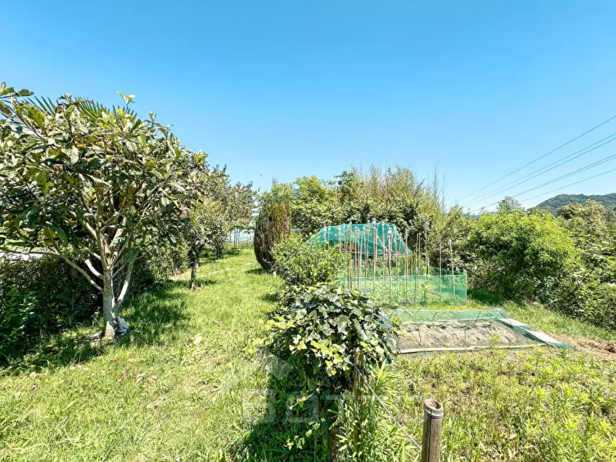 Immagine 18 di Appartamento in vendita  in corso vercelli 211 a Borgosesia