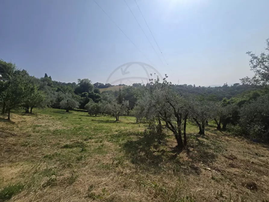Immagine 1 di Terreno in vendita  in Strada Salaria a Terni