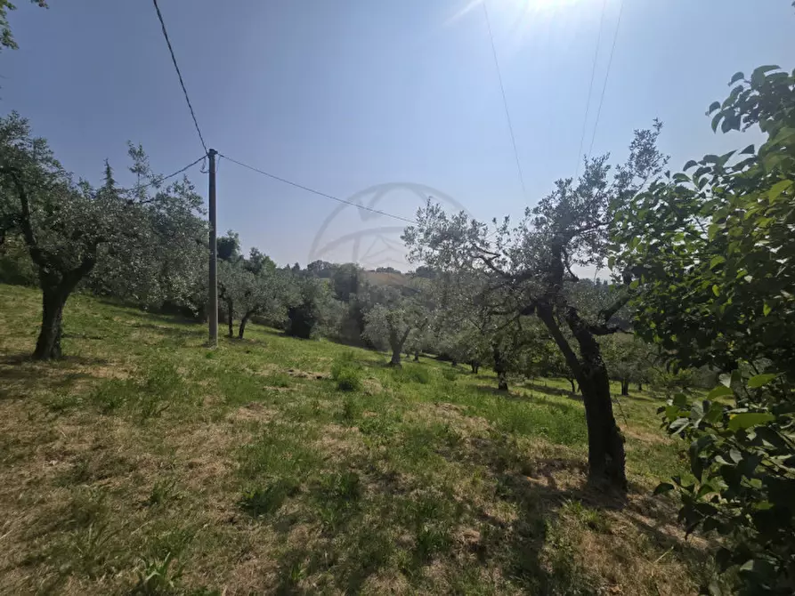 Immagine 3 di Terreno in vendita  in Strada Salaria a Terni