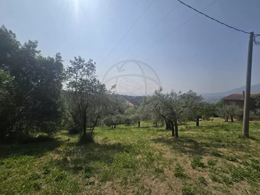 Immagine 6 di Terreno in vendita  in Strada Salaria a Terni