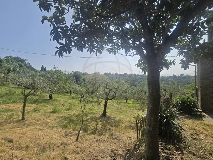 Immagine 9 di Terreno in vendita  in Strada Salaria a Terni